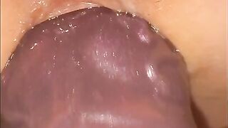 A flared knotted dragon nuts in my pussy