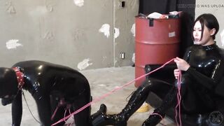 The Volunteer slave who passed the grueling test were to be kept as a mistress' pet