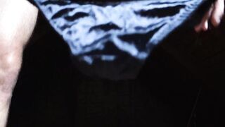 Lace and shiny full back panties tease