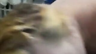 Escort Jada bandz sucks black cock